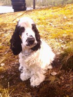 /album/patu/whoo13-320-jpg/